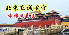 黑丝美女隐私部位游泳网站中国北京-东城古宫旅游风景区